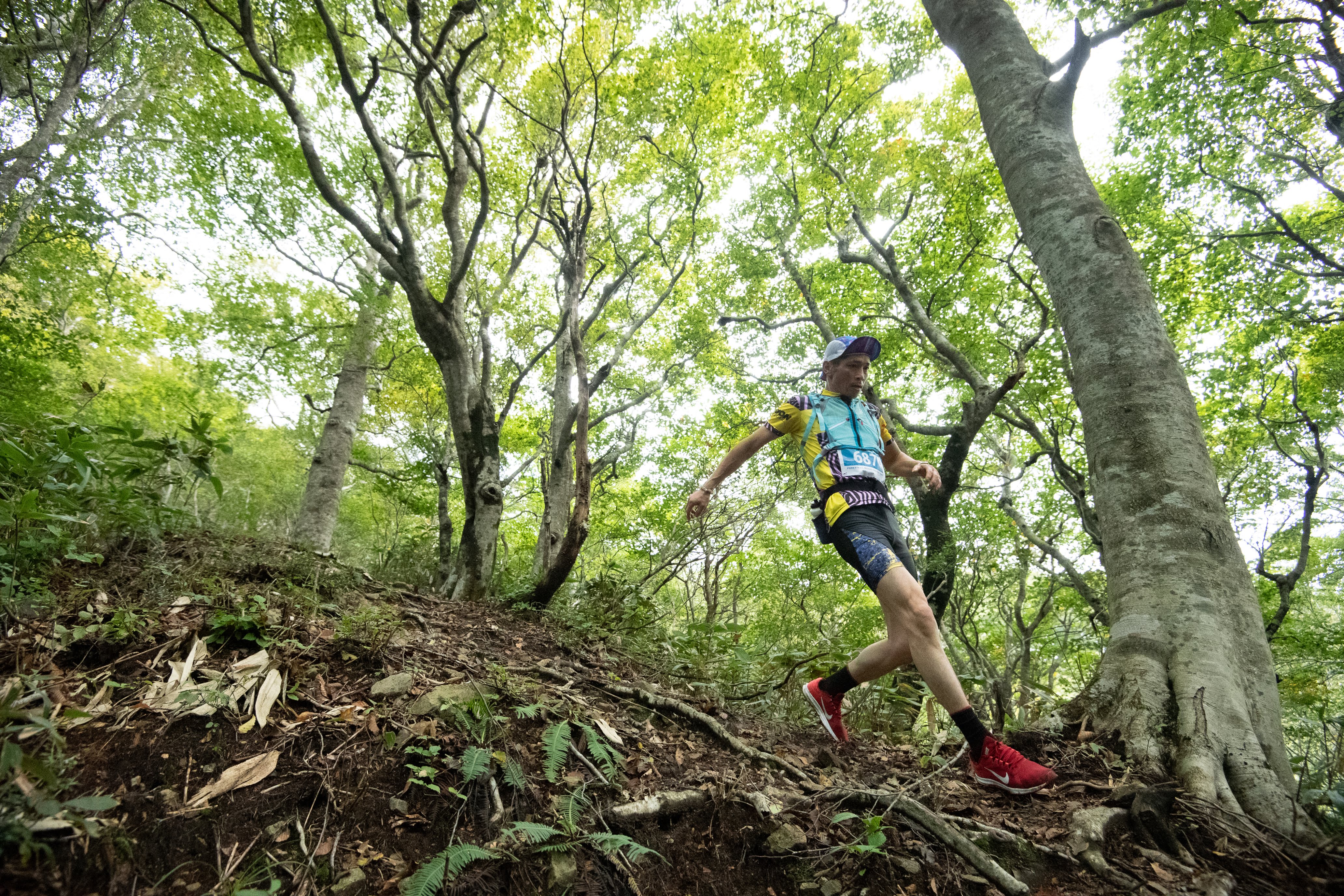 FORESTRAIL HIRUZEN-SHINJO 2022 supported by GREENable｜NEWS 